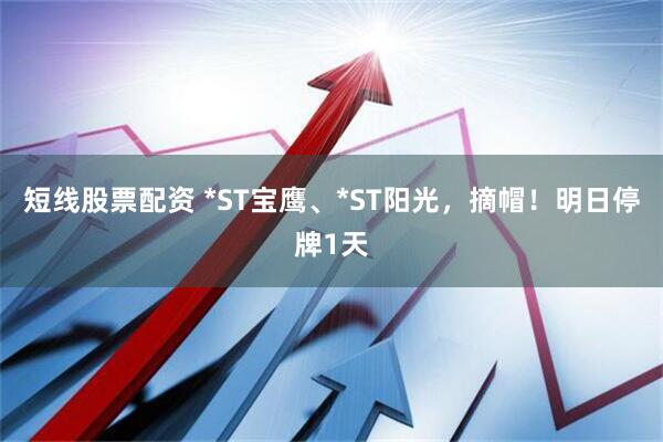 短线股票配资 *ST宝鹰、*ST阳光，摘帽！明日停牌1天